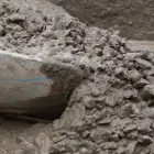 ビジョン